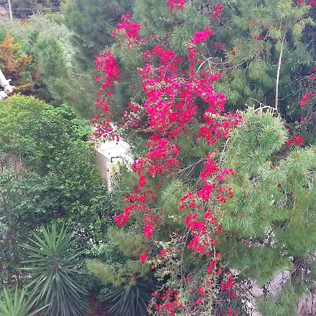 Vouliagmeni Floor Maisonette Apartment